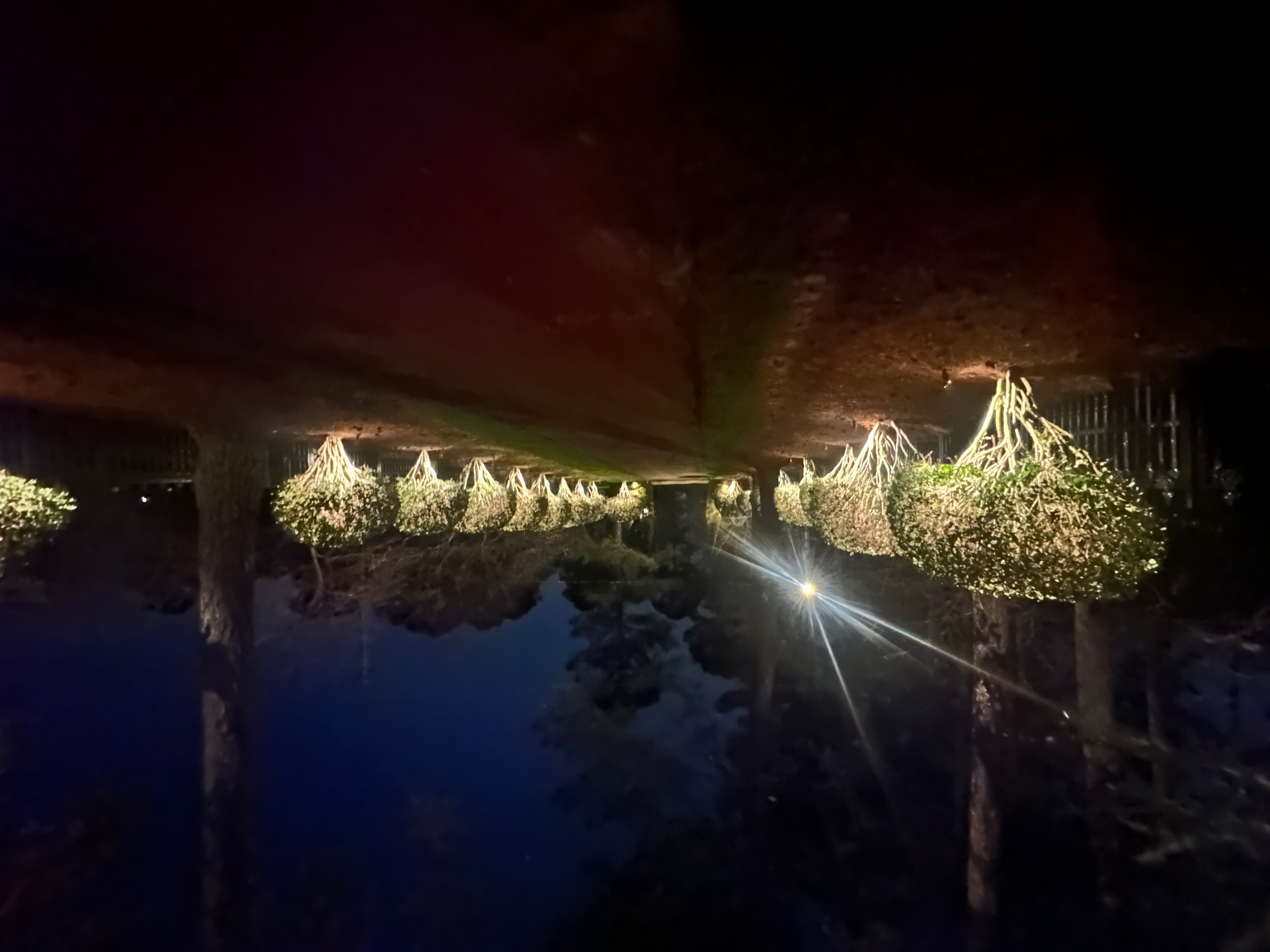 Irrigation lawn trench